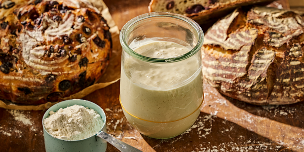 SOURDOUGH STARTER